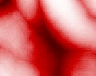 brain models