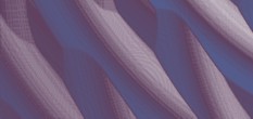 fotomodel forum
