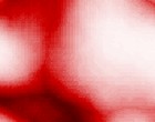 fotomodel agentur
