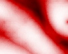 www fotomodel
