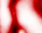 quantum models