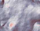 model 16