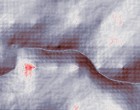 model pdf