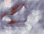 hidden markov model