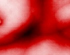 model for