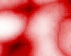 model net