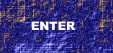 model contest