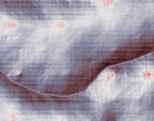 markov models