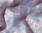 models 6