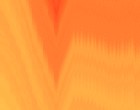 binaries models petite