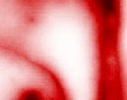hidden markov model