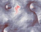 linear model