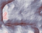 quantum models